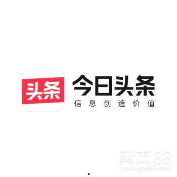 邯郸今日头条养鸡,揭秘邯郸地区养鸡业的最新动态与趋势
