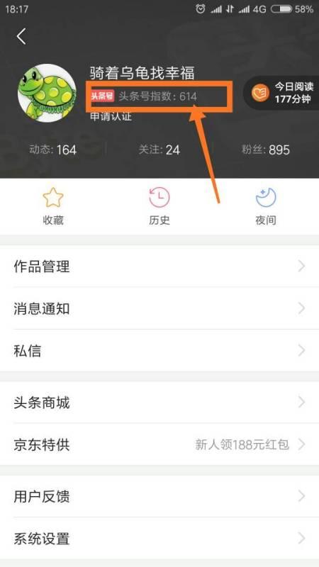 头条怎么单独发视频赚钱,实操攻略揭秘