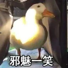 网红鸭生意好做吗视频,揭秘短视频背后的商机