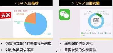 头条自媒体小结,热点追踪与内容创新的秘诀