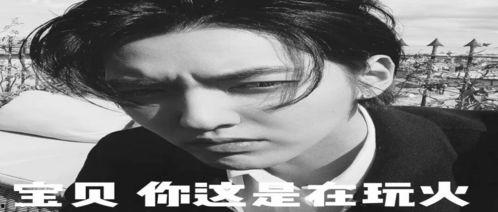 配吃瓜的文案搞笑,一场吃瓜界的欢乐盛宴
