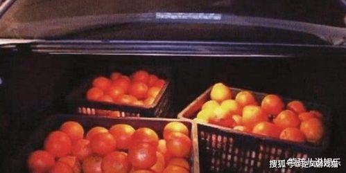 偷金币的网红水果姐妹