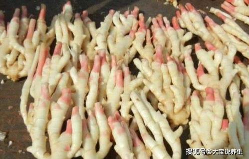 娱乐吃瓜君姜丝,揭秘姜丝背后的故事与魅力