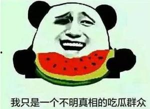 娱乐吃瓜有趣名字,盘点那些搞笑又好玩的明星昵称